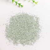 Jmassyang Crushed Glass Irregular Metallic Chips 100g Sprinkles Chunky Glitter for Nail Arts Craft Resin DIY Mobile Phone Case Vase Fillers Jewelry Jmassyang