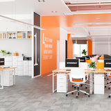 INTERGREAT 3 Drawers File Cabinet with Lock, 18" D Vertical Filing Cabinet for Home Office, Metal White File Cabinet for Hanging Letter/F4/A4/Legal INTERGREAT