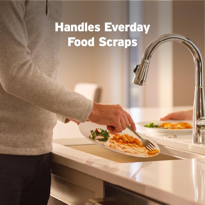 InSinkErator Badger 5 Garbage Disposal with Power Cord, Standard Series 1/2 HP Continuous Feed Food Waste Disposer, Badger 5 W/C, No Size, Black/Gray InSinkErator