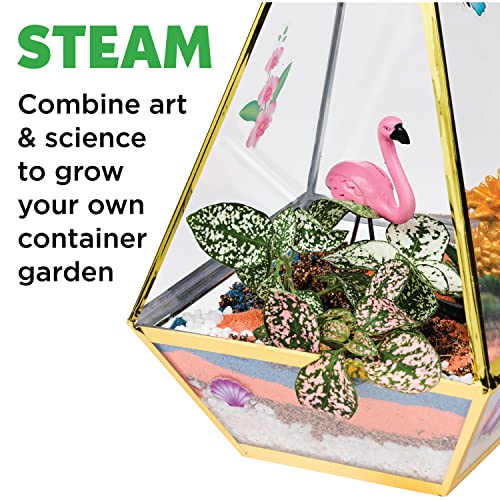 Creativity for Kids Tropical Terrarium Craft Kit - Kids Terrarium Kit for Ages 7+, STEAM Activity - WoodArtSupply