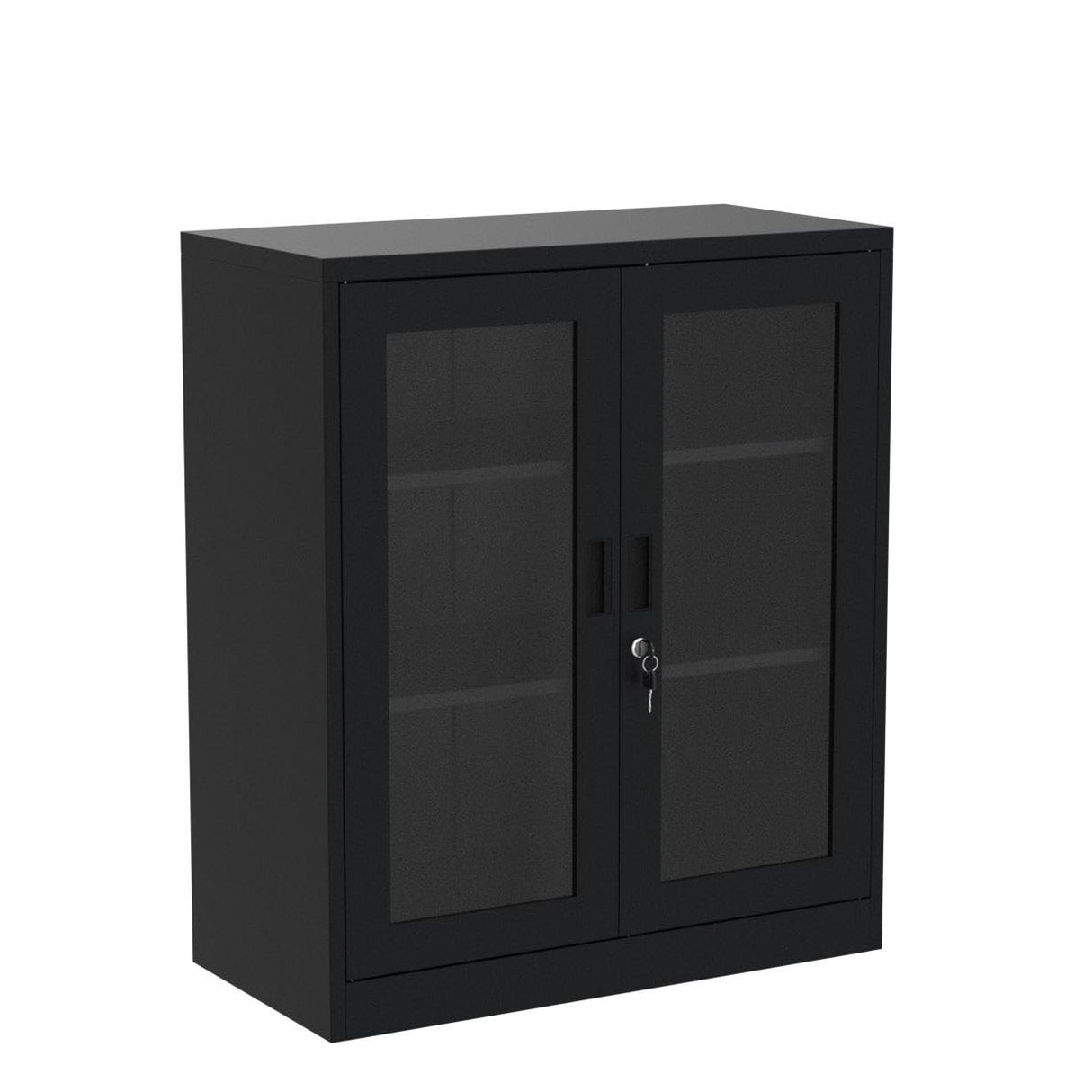 Anxxsu Metal Storage Cabinet with Glass Door, Locking Display Storage Cabinet with 2 Glass Doors and 2 Adjustable Shelves for Home, Office, Bedroom Anxxsu