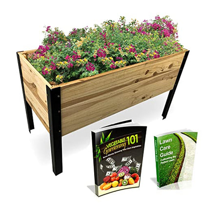 Backyard Expressions Raised Garden Bed, Elevated Wood Planter Box Stand - 35.5" W x 15.5" D x 22" H - WoodArtSupply