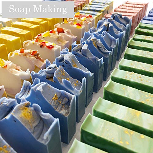 Pure Mica Powder for Epoxy Resin Kit Set 12 Colors 10g/0.35oz Each Soap Making Brilliant Colorant Pigment Powder Packs Epoxy Paint Nail Polish Bath