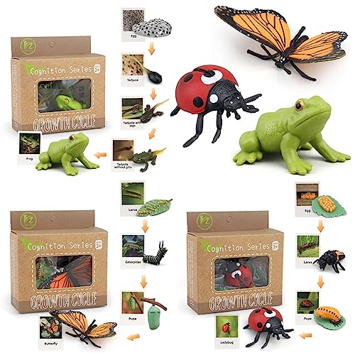 Montessori Life Cycle Learning & Education Toys - Plastic Insect Ladybug, Monarch Butterfly, and Tadpole-to-Frog Kit for Kids, Preschool Learning BOTICAKO