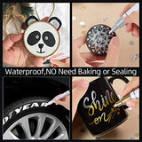 VHEONET 12 Permanent Paint Markers on Almost Anything Never Fade Quick Dry, Oil-Based Waterproof Paint Marker Pen for Rock Painting, Stone, Wood, VHEONET