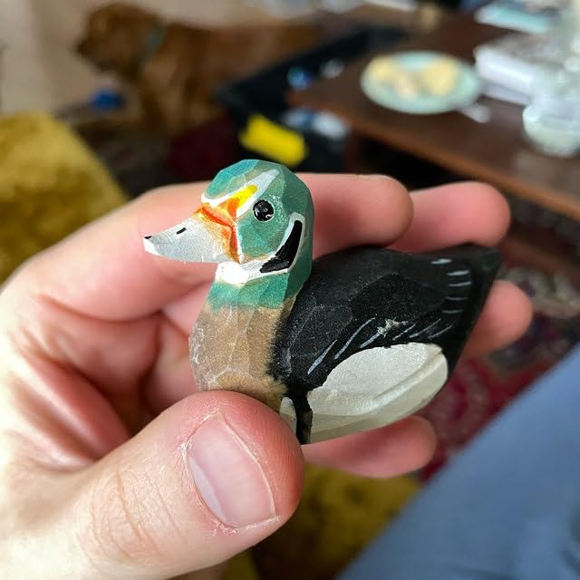 Carolina Wood Duck Drake Bird Hanging Ornament Figure Handmade Carved Decoration Selsela