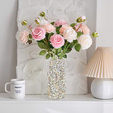 HappyFiller 1.4 Pound Broken Pieces Crushed Shells Chips Vase Filler Resin Arts,Succulents,Plants Top Dressing Soil Cover,Hotricultural Pebbles Grow HappyFiller