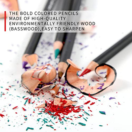 H & B 180 Colored Pencils for Adult Coloring, Drawing Art Supplies Kit for Artists Adults Kids with Vibrant Colors for Sketching, Shading & Coloring H & B