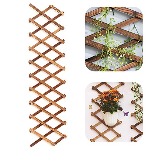 Iceyyyy Wood Lattice Wall Planter - Expandable Hanging Wooden Planter Trellis Frame, Indoor Air Plant Vertical Rack Wall Decor for Room Garden - WoodArtSupply