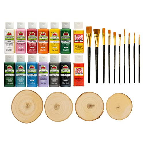 Apple Barrel PROMOABWR22 DIY Craft Featuring 12 Paints, 2 Mod Podge Acrylic Sealers, 4 Wood Rounds and 10 Brushes, 28 Piece Set, Multi Apple Barrel