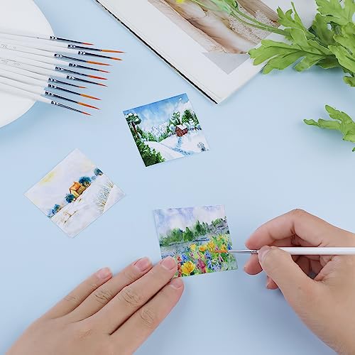 cobee 12Pcs Fine Paint Brushes, Detail Paint Brushes Micro Artist Paintbrush Set Acrylic Paint Brushes for Kids Students Artists Detail Painting Oil cobee