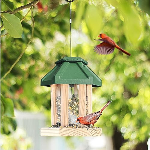 Cedar Alpha Gazebo Style Silo Bird Feeder DIY Kit for Kids - Cedar Wood Construcion - Longtime Durability - Patented Design - Going Green Roof - WoodArtSupply