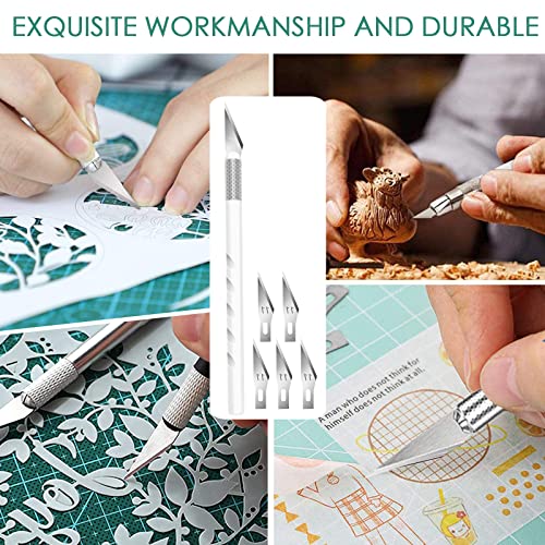 13 Pcs Vinyl Weeding Tools Stainless Steel Plotter Accessories HTV, Precision Carving Craft Hobby Knife Kit +1 Piece Storage Bag, Silhouettes, ImnBest