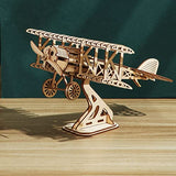 3D Wooden DIY Ferris Wheel Puzzle Kit - Perfect Educational Gift for All Ages ROEOLNIL