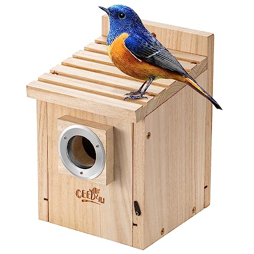 CEED4U Birdhouse, Wooden Bird House Cottages for Outside Clearance, Nesting Box with Mental Guard for Backyards, Courtyards, and Patios Decor, Large