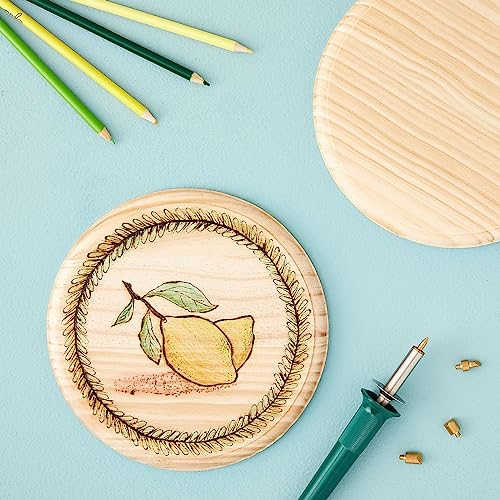 Bright Creations Unfinished Wood Round Plaques for DIY Crafts (2 Pack), 8 Inches Bright Creations