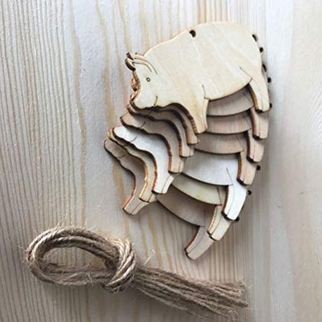 Amosfun 10pcs Pig Shape Wood Pig Wooden Cutout Shape Blank Wood Gift Tags Blank Wooden Hang Label Tags Unfinished Wood Tags for Wine Wood Name Tags, Amosfun