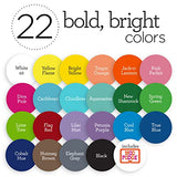 Apple Barrel Art Lessons Paint and Brush Set, 34 pc Kit Including 23 2 fl oz Apple Barrel Acrylic Paint Colors, 1 2 fl oz bottle of Mod Podge Matte, Apple Barrel