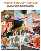 Nicpro 14 Colors Large Bulk Acrylic Paint Set (33.8 oz, 1000 ml) Rich Art Painting Supplies, Non Toxic for Multi Surface Canvas Wood Leather Fabric Nicpro