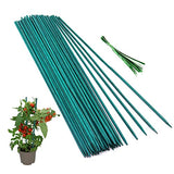 50 Pcs Plant Sticks Green Plant Stakes, Plant Support Garden Stakes for Indoor and Outdoor Plants, GAGINANG Sturdy Garden Wood Bamboo Sticks, Floral GAGINANG