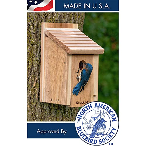 Woodlink Wooden Bluebird House - Model BB1 7.5" x 7.25" x 13" Woodlink