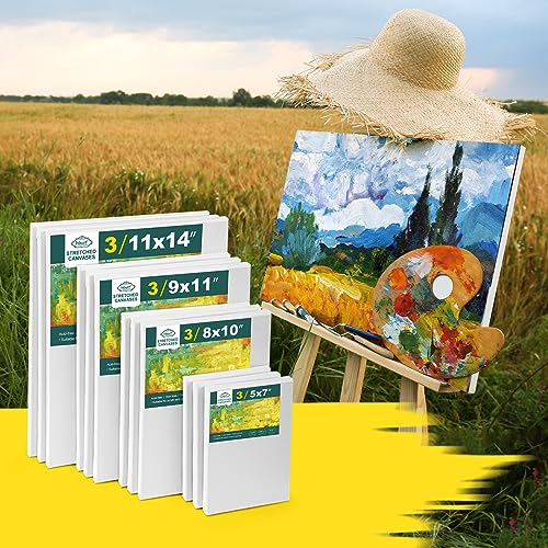12 Pack Stretched Canvases for Painting with 11x14, 9 x12, 8x10, 5x7(3 of Each), Blank Primed Canvas for Oil, Acrylic & Others, Multi Size Set for Inburit
