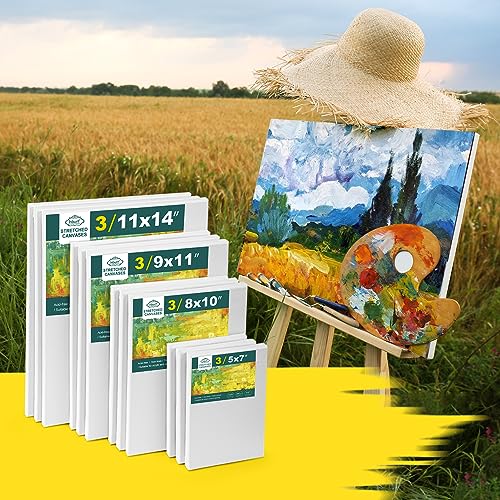 12 Pack Stretched Canvases for Painting with 11x14, 9 x12, 8x10, 5x7(3 of Each), Blank Primed Canvas for Oil, Acrylic & Others, Multi Size Set for - WoodArtSupply