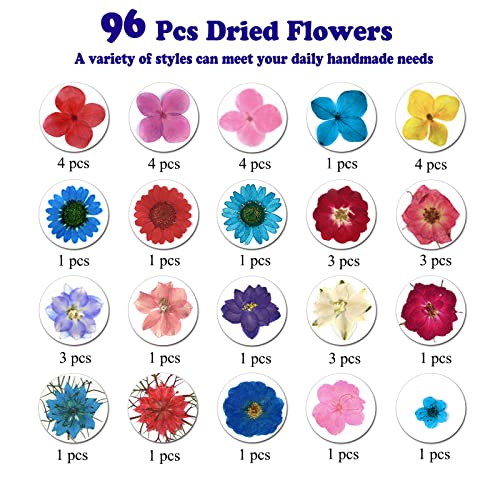 LUCISKY 96 Pcs Pressed Dried Flowers Real Natural Leave Petals for DIY Resin Molds Jewelry Nail Candle Crafts LUCISKY