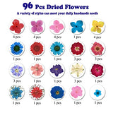 LUCISKY 96 Pcs Pressed Dried Flowers Real Natural Leave Petals for DIY Resin Molds Jewelry Nail Candle Crafts LUCISKY