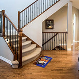 EsLuker.ly Latch Hook Rug Kits DIY Crochet Carpet Cats Patterns Pre-Printed Canvas Yarn Rug Embroidery Crafting Arts for Adults Kids Beginners EsLuker.ly