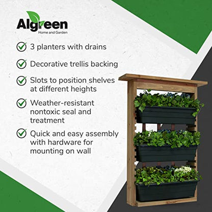 Algreen Gardenview Decorative Indoor or Outdoor Trellis with 3 Vertical Wall Hanging Planters with Drain Plugs for Flowers, Herbs, and Succulents - WoodArtSupply