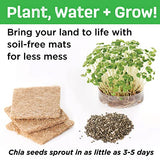 Creativity for Kids Build & Grow Magical Land - Unicorn Craft, 5-in-1 Kids Activities, Unicorn Castle Toy, Kids Gifts for Ages 6-8+ Creativity for Kids