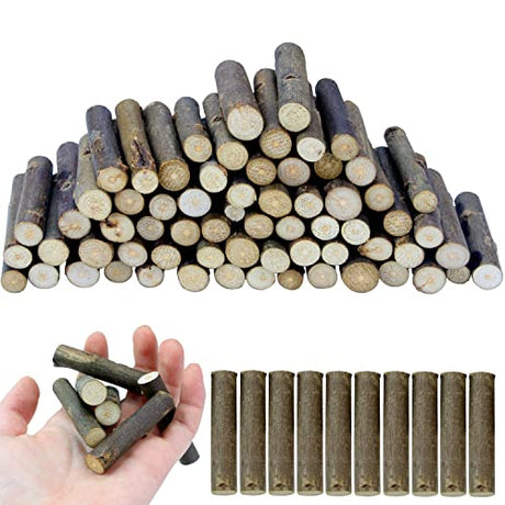 FSWCCK 100 PCS Craft Sticks, 2 Inch Natural Birch Twigs Sticks, Mini Wood Log for DIY Crafts, Farmhouse Centerpiece Decor and Rustic Home Decor FSWCCK