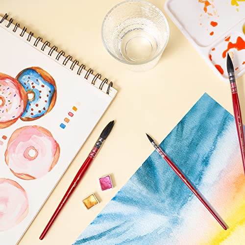 Lightwish Watercolor Brushes Set, Synthetic Squirrel Hair Paint Brushes kit for Artists, Adults, and Hobbists, Pointed Round Mop Brush for LIGHTWISH