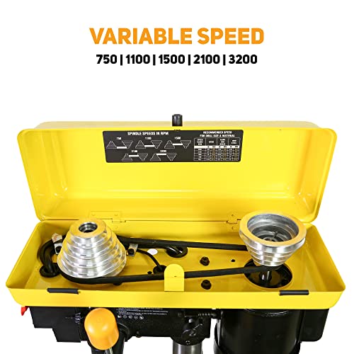 Woodskil 8 Inch Drill Press, 2.3 Amp 5-Speed Bench Drill Press, Bench Top Drilling Machine Woodskil