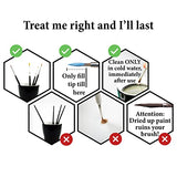 The Army Painter Gamemaster Character Brush Set - Precise Detail Brush Set Include 1 Small Detail Brush, 1 Monstrous Brush, 1 Drybrush Fine Detail The Army Painter