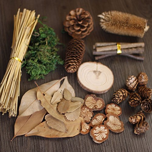 LUOEM Forest DIY Craft Ornaments for Photography Background Wood Branches Photo Props LUOEM