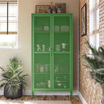 Novogratz Channing Tall 2 Door Storage Cabinet-Mesh Metal Locker, Kelly Green - WoodArtSupply