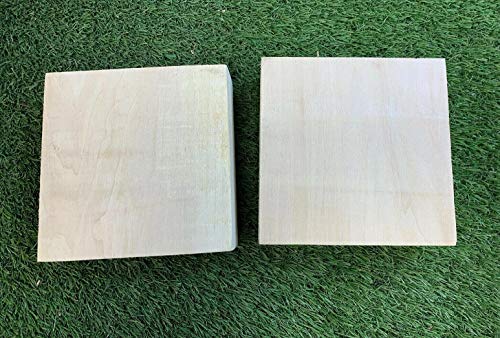 Set of 6 Basswood Bowl Blanks for Turning, Measuring 4 x 4 x 2 Inches, Suitable Carving/Whittling Block - WoodArtSupply