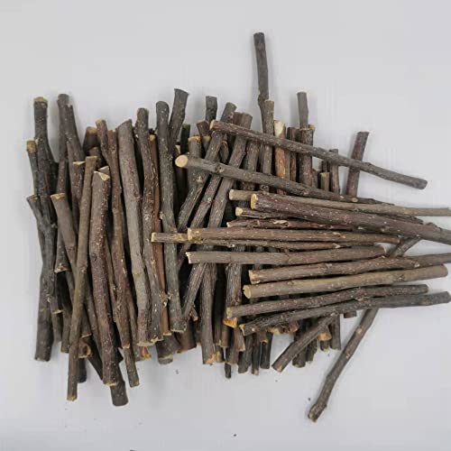 YF-ANEN DIY Wood Craft Stick for Craft Photo Props Craft Stick Inch Wooden Stick Wood Craft Stick Photo Stick Photo Props Log 100pcs About 14cm - WoodArtSupply