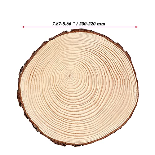 JOIKIT 5 PCS 8-9 Inch Unfinished Woods Slices, Natural Round Rustic Wood Slices for Centerpieces, Wooden Circles for DIY Craft, Christmas, Rustic - WoodArtSupply