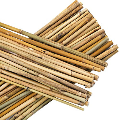 Frcctre 60 Pack 16 Inch Bamboo Plant Stakes, Natural Garden Sticks for Plant Indoor and Outdoor Gardening Plant Support Climbing Stakes for Tomatoes, - WoodArtSupply