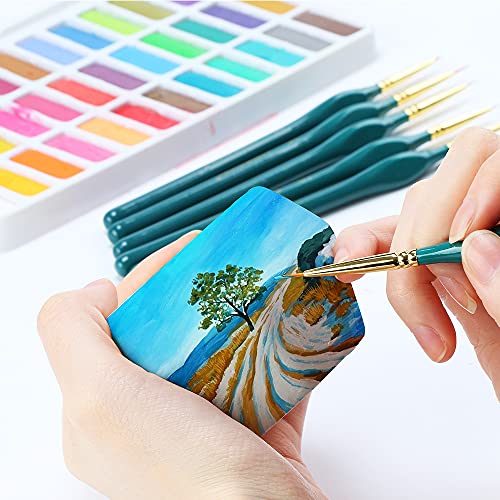 Transon Detail Thin Paint Brush Set 6pcs and 12-Color Face Body Paint Palette