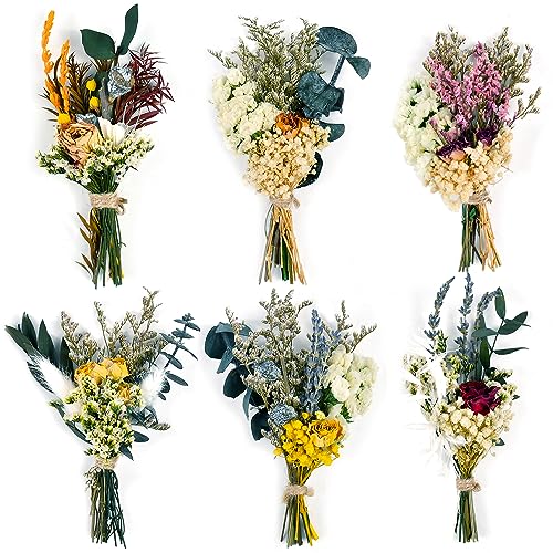 Dried Flower Natural Dried Floral Plant Mini Bouquet Photography Props Dry Flower Flower Bundle Plant Stem Bunch for DIY Craft 6 PCS - WoodArtSupply