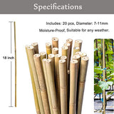 20 Pcs 18 Inch Natural Bamboo Plant Support Stakes for Indoor Plants, Bamboo Sticks Poles Garden Bamboo Stakes for Potted Plants, Tomato, Beans Yowlieu