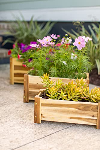 Avera Products | Raised Garden Bed | Rectangle Wood Planter Box | The Perfect Wooden Flower Box | 19" x 9.5" x 8.5" | Great Small Vegetable or Herb Avera Products