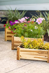 Avera Products | Raised Garden Bed | Rectangle Wood Planter Box | The Perfect Wooden Flower Box | 19" x 9.5" x 8.5" | Great Small Vegetable or Herb Avera Products