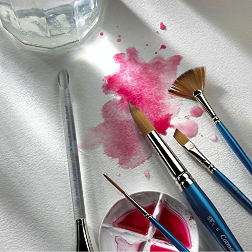 Winsor & Newton Brush, Wood, Transparent, No 9 -. 5.6 mm, Round - Brush, Short Handle Winsor & Newton