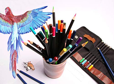 ARTISTIK Colored Pencil Set - (47 Pieces) Vivid 3.5 mm Artist Grade Drawing & Sketching Colored Pencils for Adults Coloring Books, Watercolor, ARTISTIK