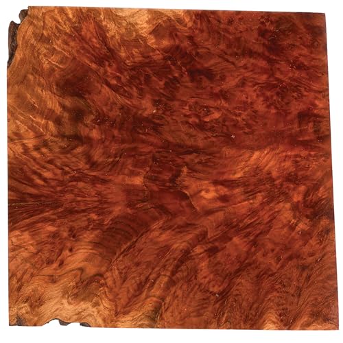 Woodcraft Australian Red Mallee Burl Turning Blank 2kg-4kg 1-Piece WOODCRAFT